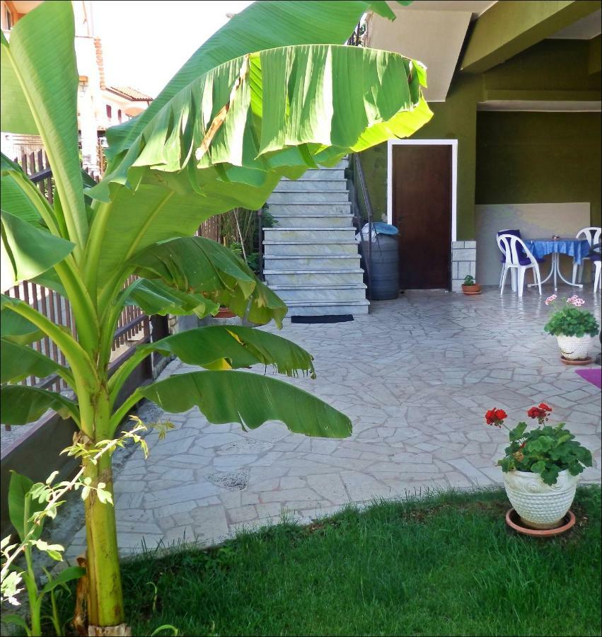App Veselica Apartment Umag Bagian luar foto